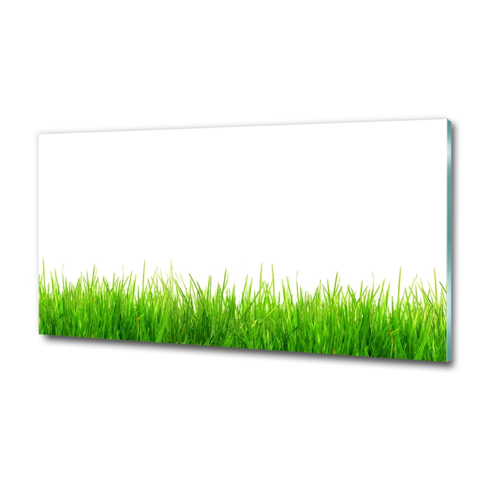 Glass picture wall art Grass