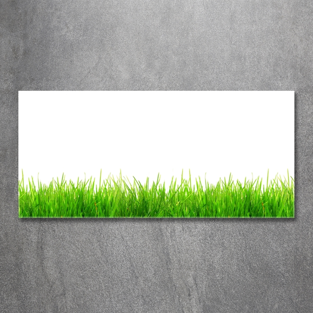 Glass picture wall art Grass