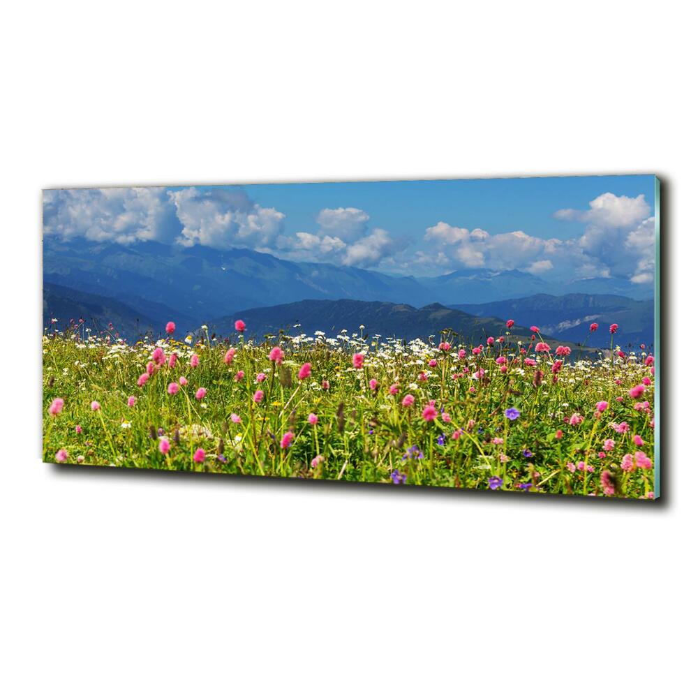 Glass wall art Meadow in the mountains