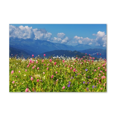 Glass wall art Meadow in the mountains