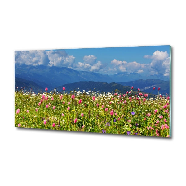 Glass wall art Meadow in the mountains