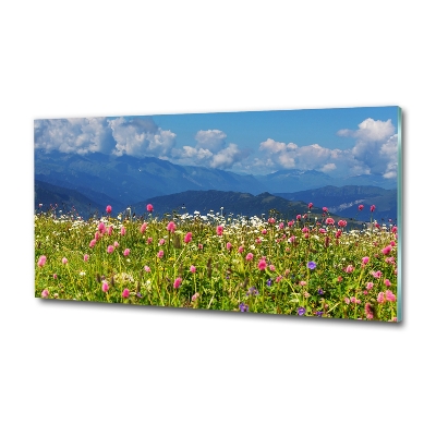 Glass wall art Meadow in the mountains