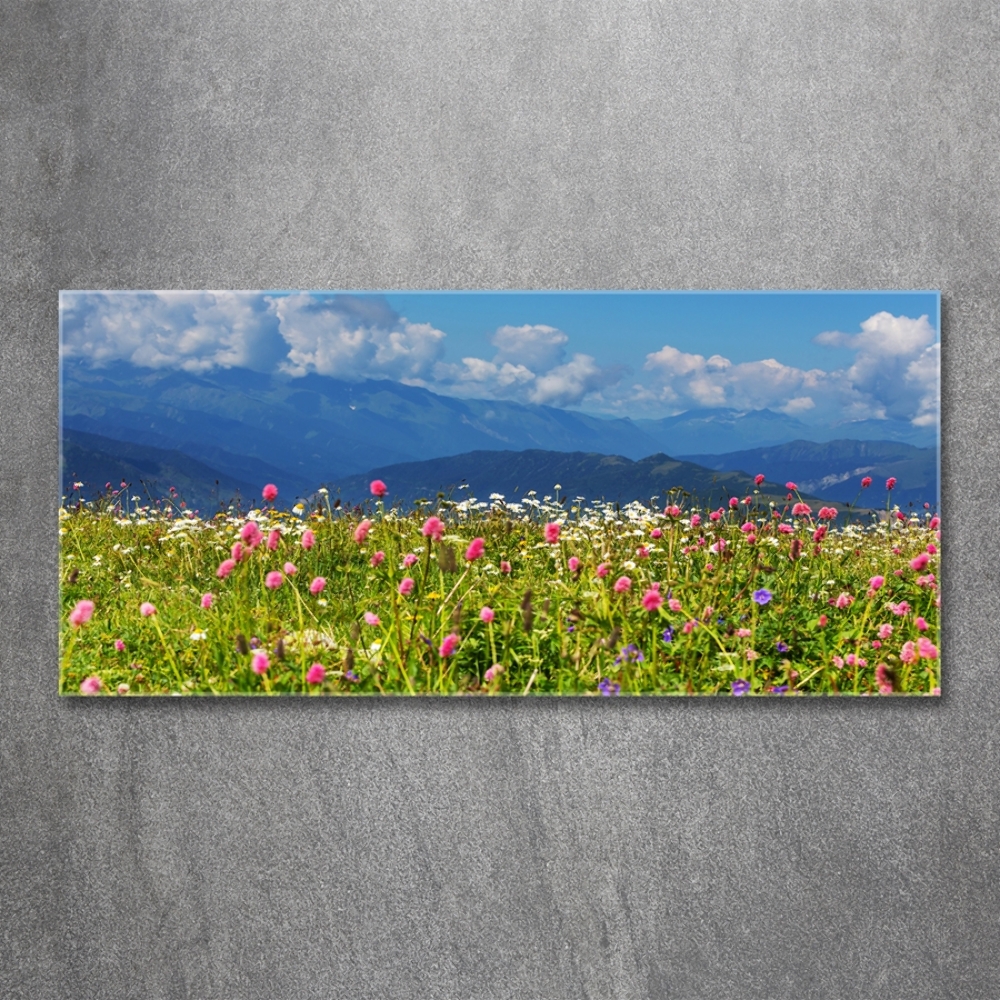 Glass wall art Meadow in the mountains