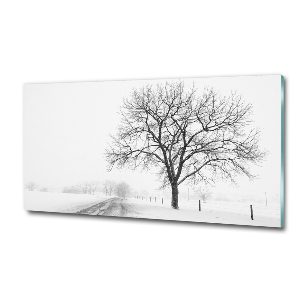 Wall art on glass Winter tree