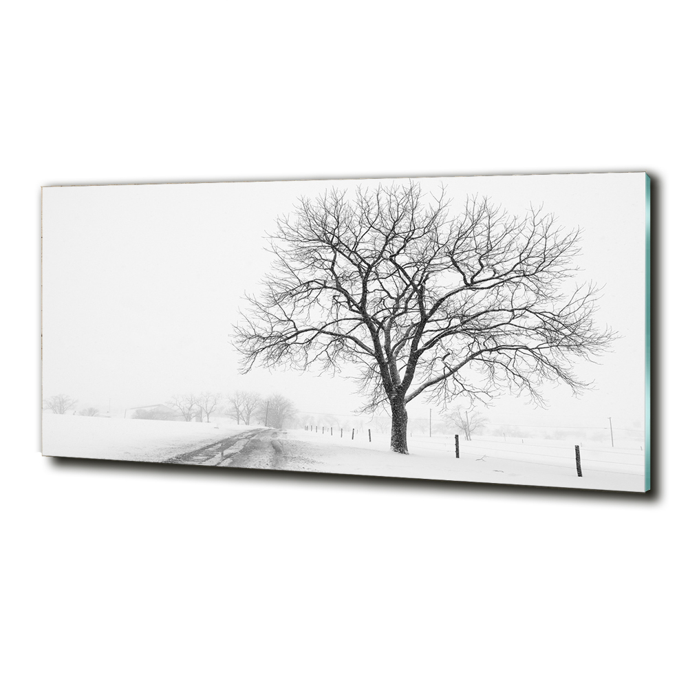 Wall art on glass Winter tree