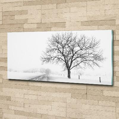 Wall art on glass Winter tree