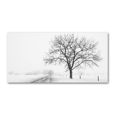 Wall art on glass Winter tree