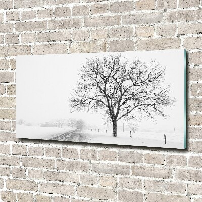 Wall art on glass Winter tree