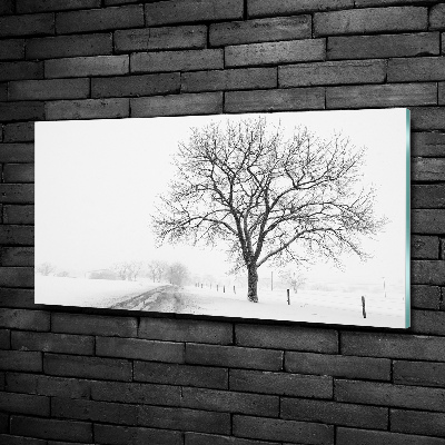 Wall art on glass Winter tree