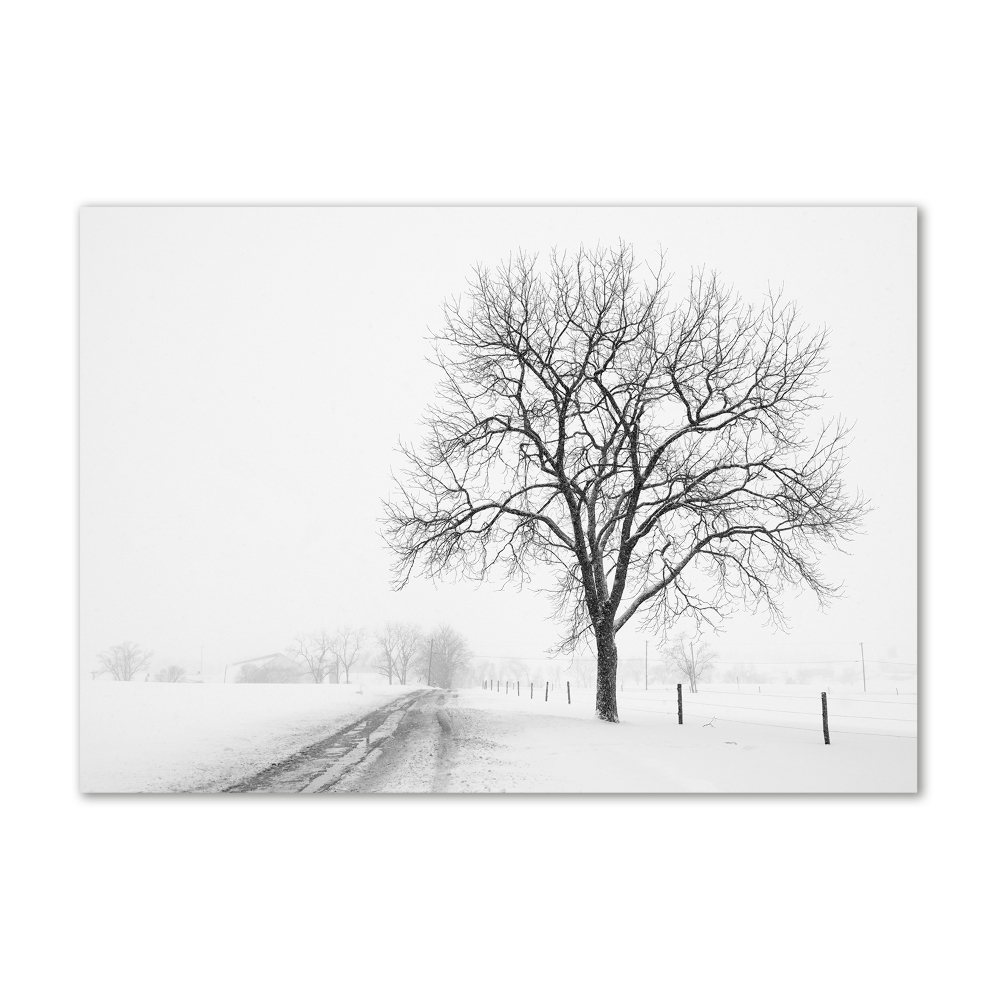 Wall art on glass Winter tree