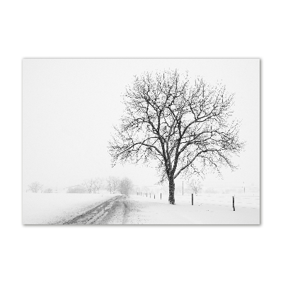 Wall art on glass Winter tree