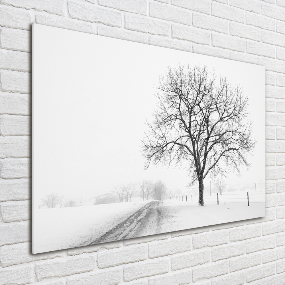 Wall art on glass Winter tree