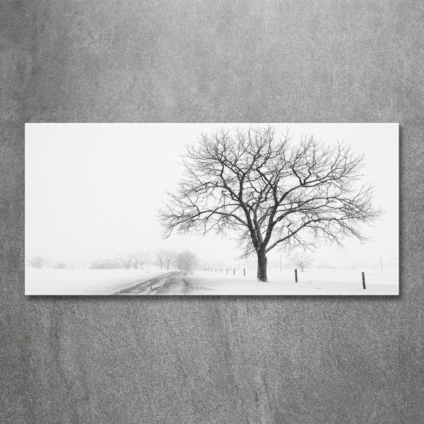 Wall art on glass Winter tree