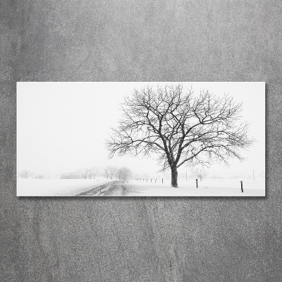 Wall art on glass Winter tree