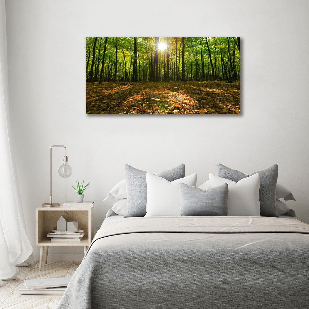 Wall art on glass Forest