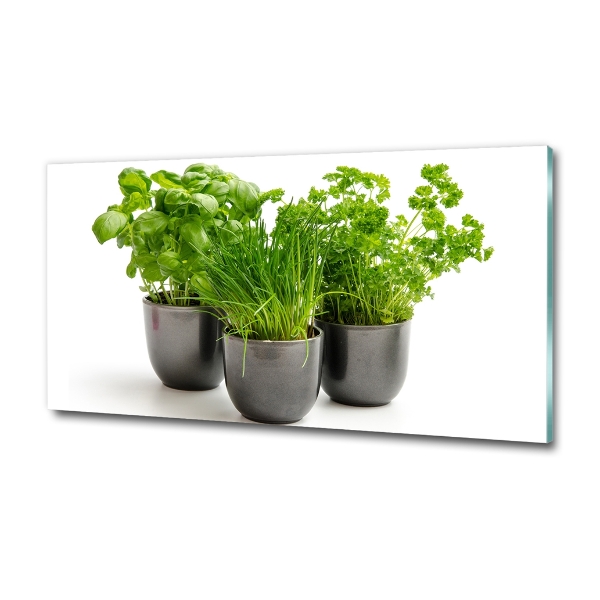 Photo printed on glass Herbs in pots