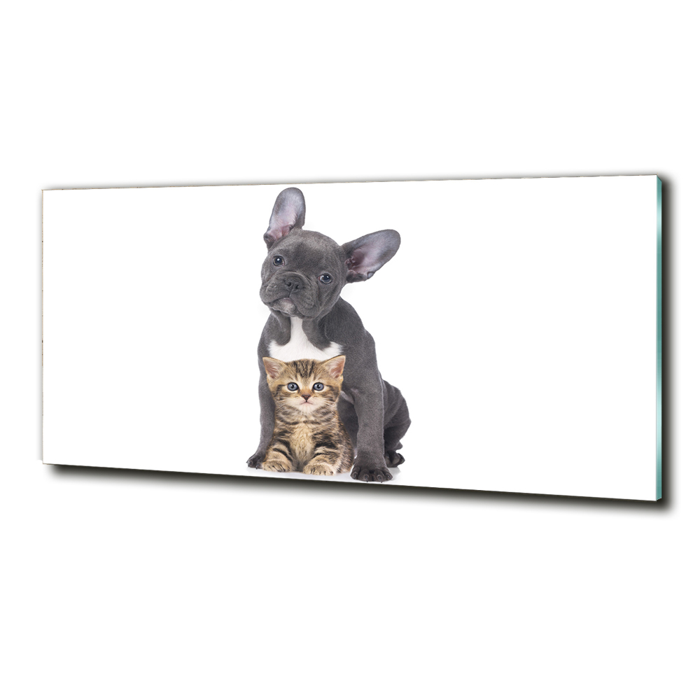 Glass art print Dog and cat