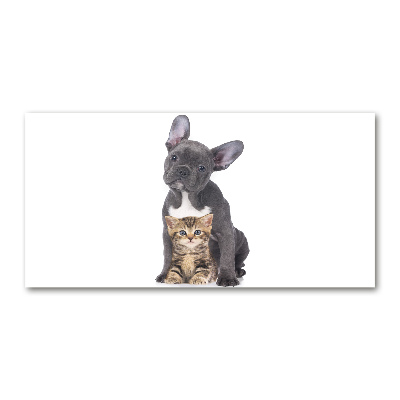 Glass art print Dog and cat