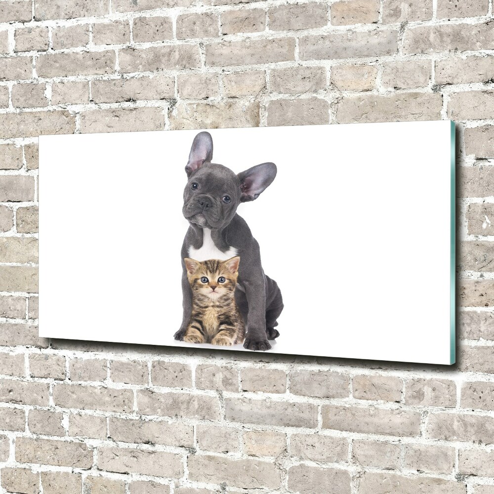 Glass art print Dog and cat