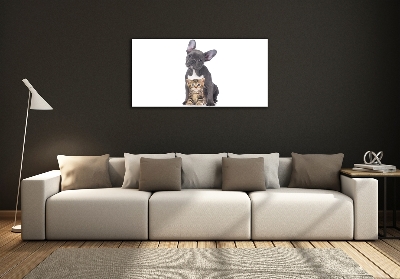 Glass art print Dog and cat