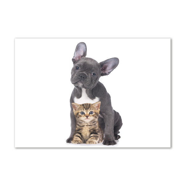 Glass art print Dog and cat