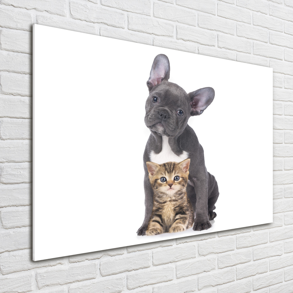 Glass art print Dog and cat