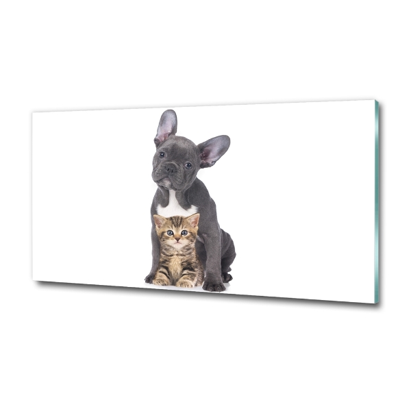 Glass art print Dog and cat