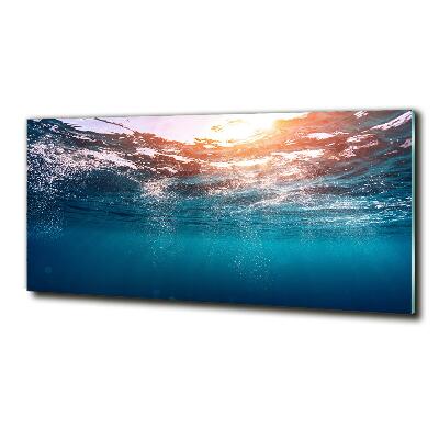 Wall art on glass Underwater world