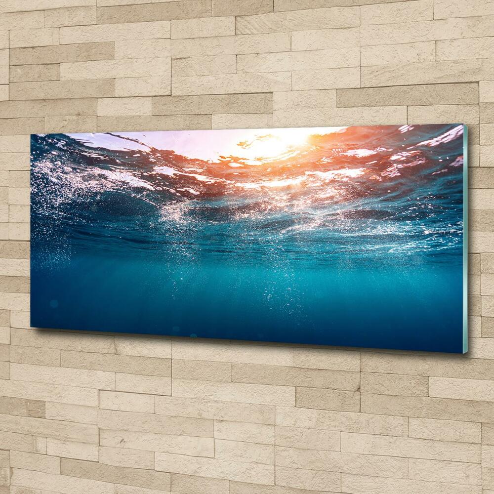 Wall art on glass Underwater world