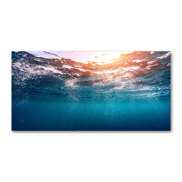 Wall art on glass Underwater world