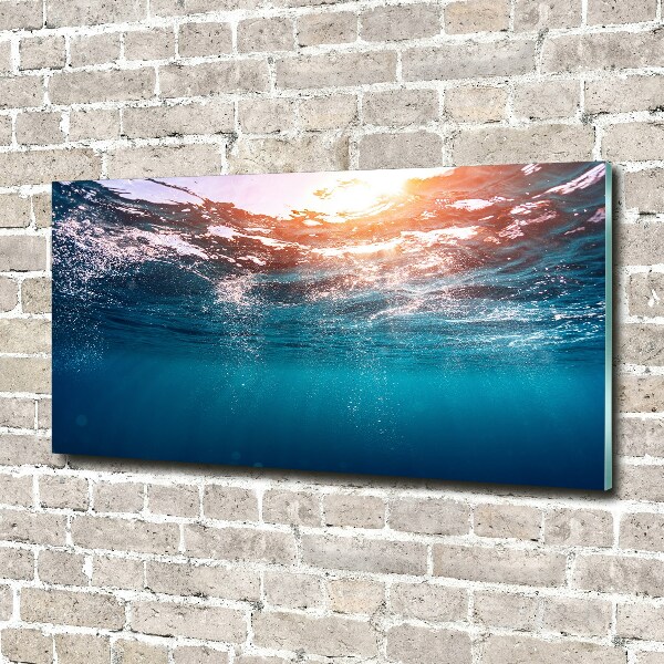 Wall art on glass Underwater world