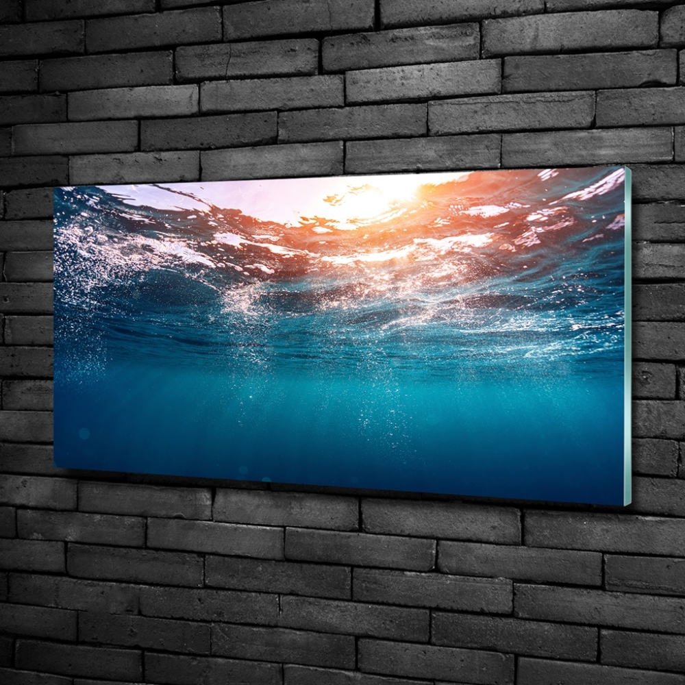 Wall art on glass Underwater world