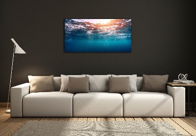 Wall art on glass Underwater world