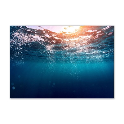 Wall art on glass Underwater world