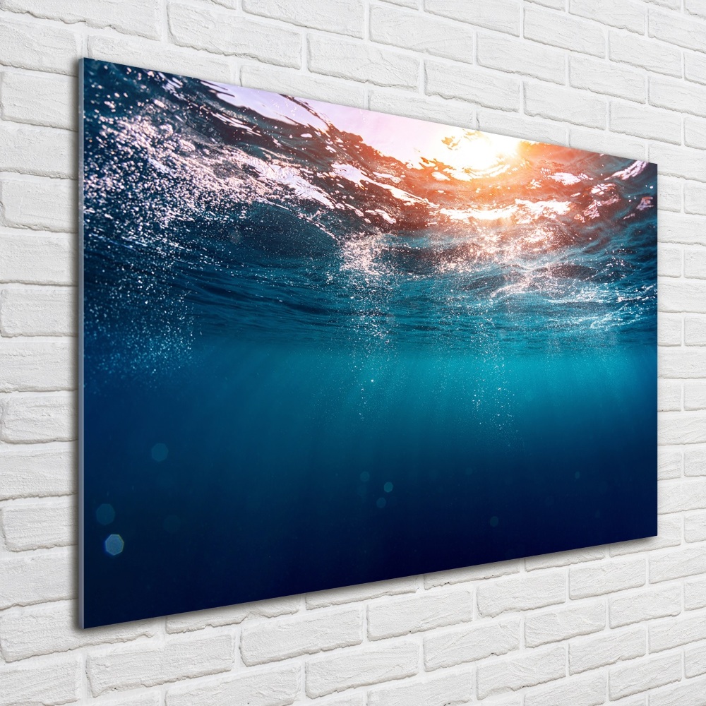 Wall art on glass Underwater world