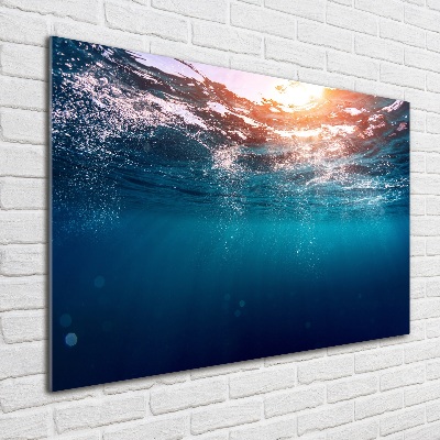 Wall art on glass Underwater world