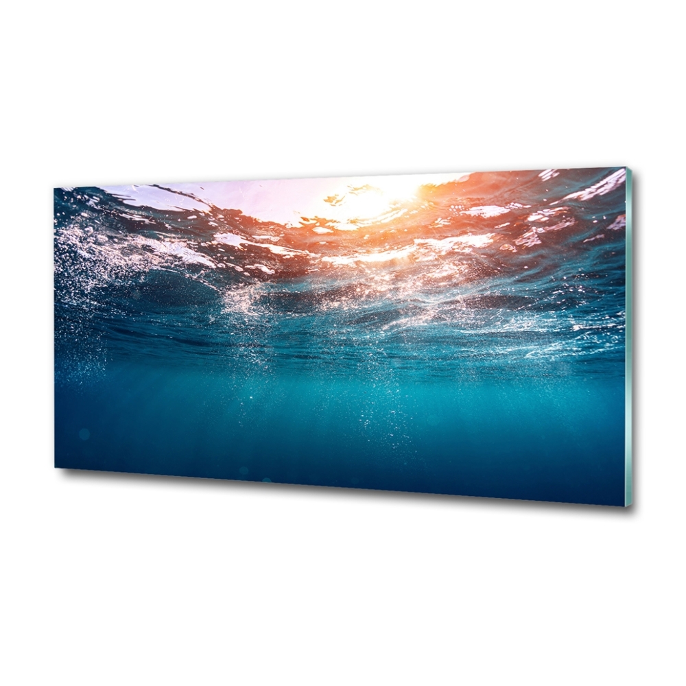 Wall art on glass Underwater world