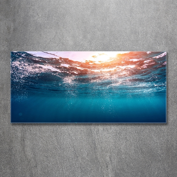 Wall art on glass Underwater world