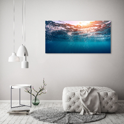 Wall art on glass Underwater world