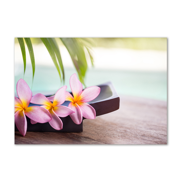 Printed glass wall art Plumeria