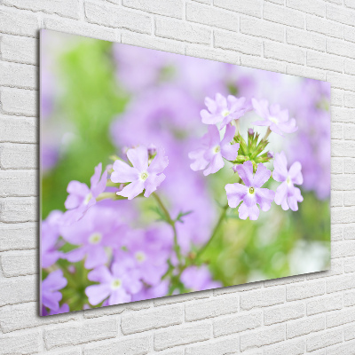 Printed glass wall art Verbena