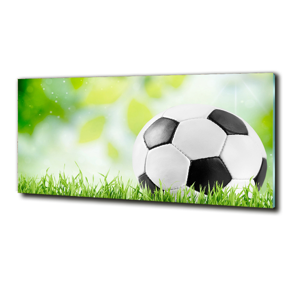 Wall art on glass Football