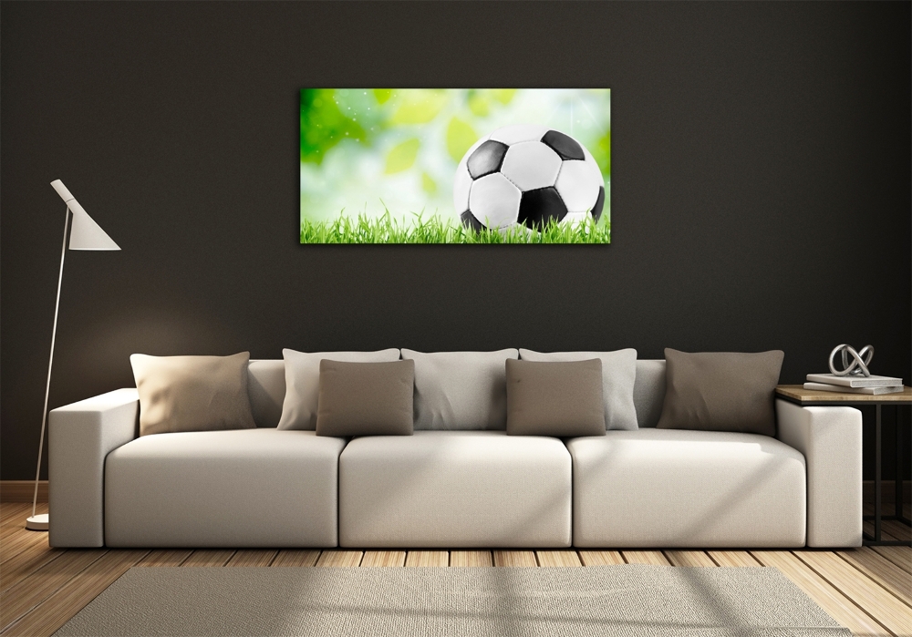 Wall art on glass Football