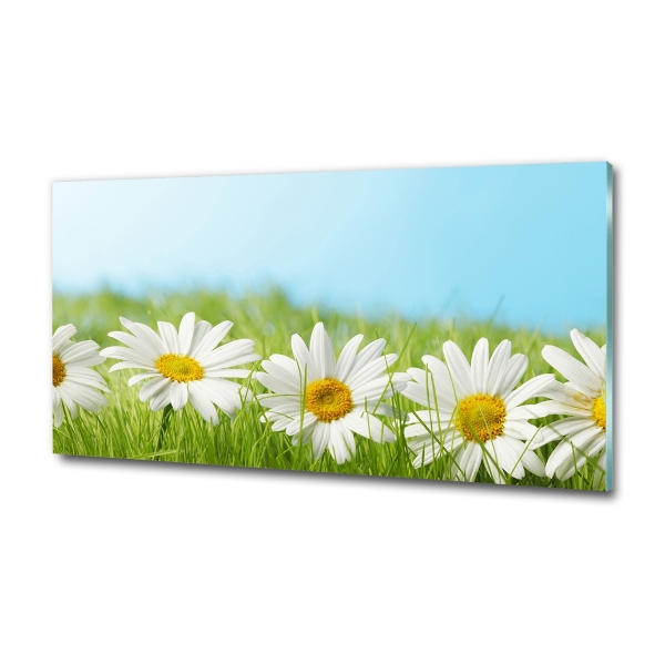 Printed glass wall art Daisy