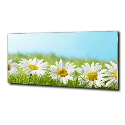 Printed glass wall art Daisy