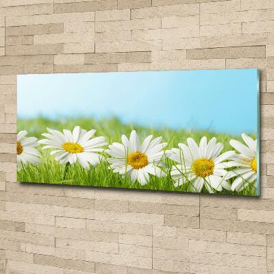 Printed glass wall art Daisy