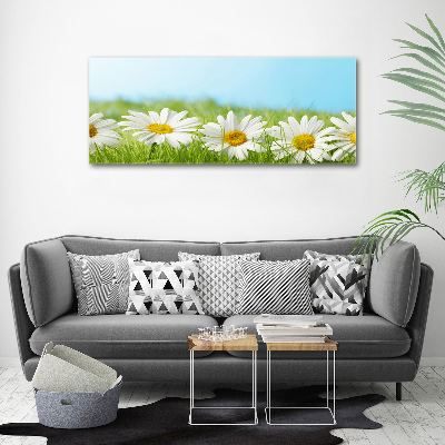 Printed glass wall art Daisy