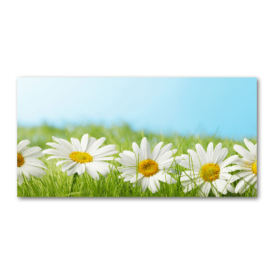 Printed glass wall art Daisy