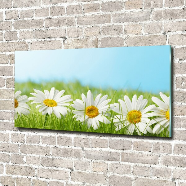 Printed glass wall art Daisy