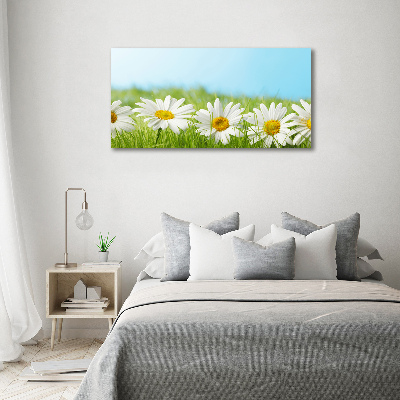 Printed glass wall art Daisy